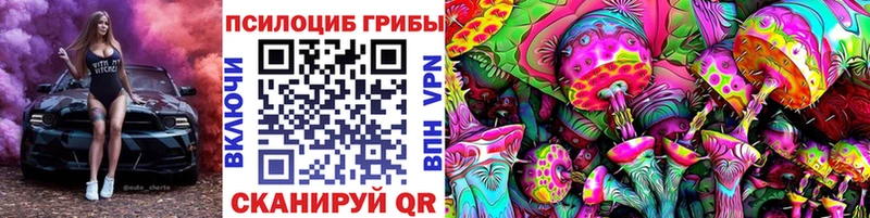 где найти наркотики  shop телеграм  Галлюциногенные грибы GOLDEN TEACHER  Лесной 